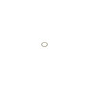 Ascaso Stainless Steel Steam Wand Tip O-ring - Large