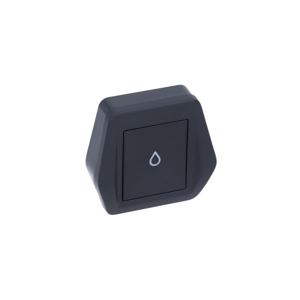 Rancilio Classe 7 USB/16 Hot Water Button Switch (Special Order Item)
