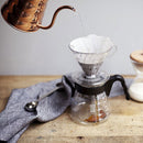 hario v60 plastic 02 dripper