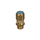 Safety Valve - CE-PED