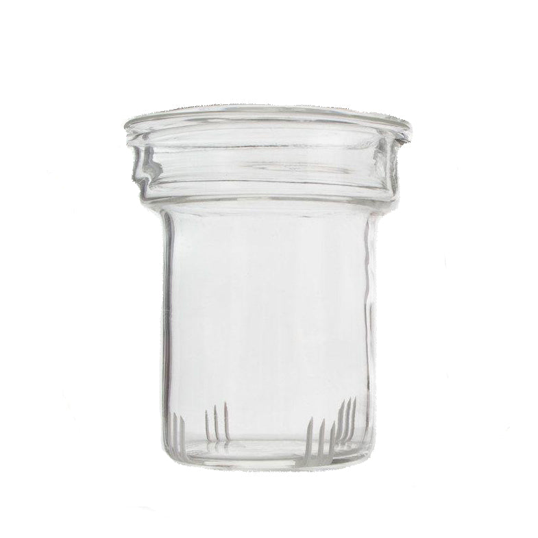 Glass Infuser (For Yama Pumpkin Teapot)