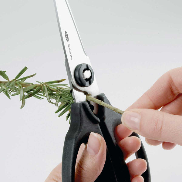 kitchen and herb scissors