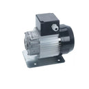 Sanremo 230V 150W Internal Pump Motor