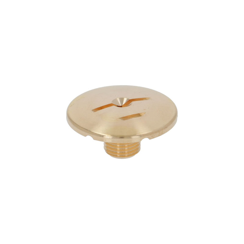 Sanremo E61 Group Head Dispersion Screw