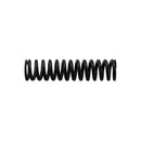 Rancilio Lever Piston Spring X