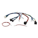 Rancilio Epoca E One Group Wiring Harness (Special Order Item)