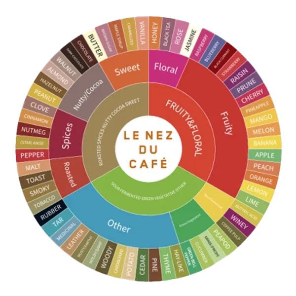 Le Nez du Café　ルネデュカフェ　コーヒー学習　バリスタ　フランス製 Le Nez du Café 2.0 Coffee Aroma Training Kit – 60 Vials