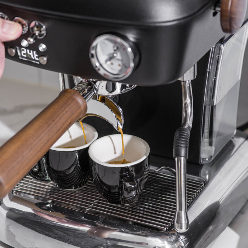 ascaso dream pid espresso machine shots