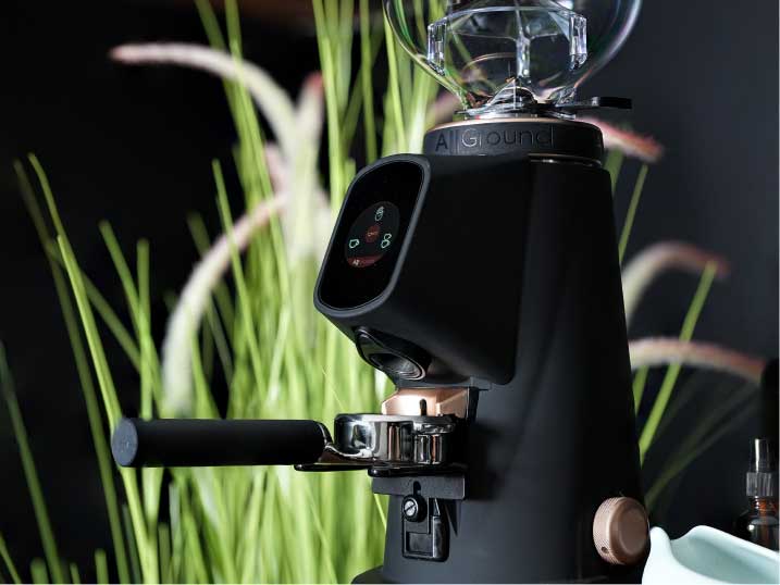 fiorenzato allground grinder