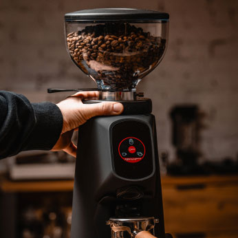 fiorenzato allground grinder