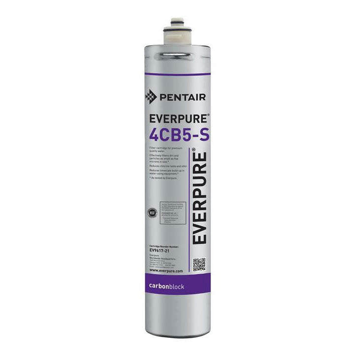 everpure 4cb5-s water filter
