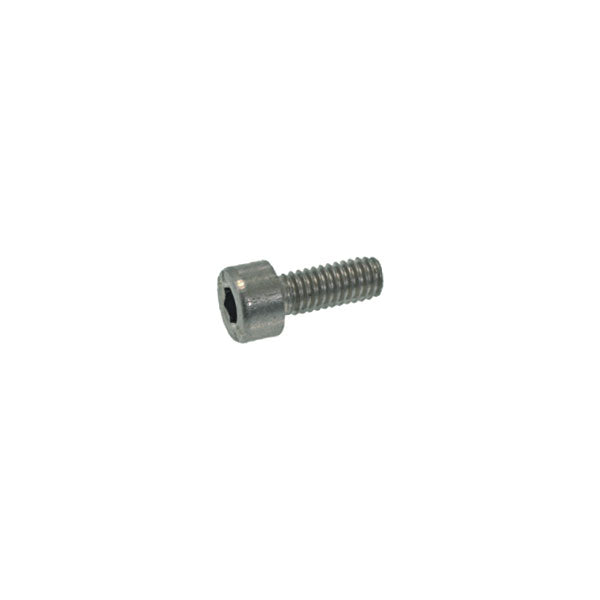 M4 x 10 mm Allen Screw