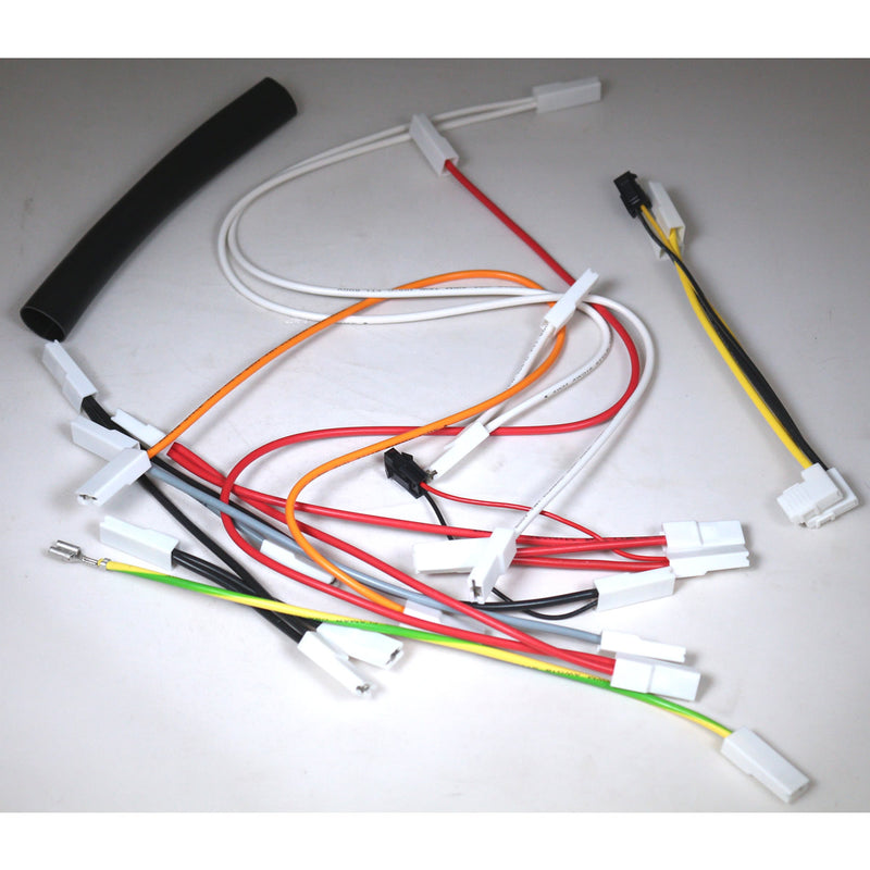 Rancilio Silvia Model M Wiring Harness