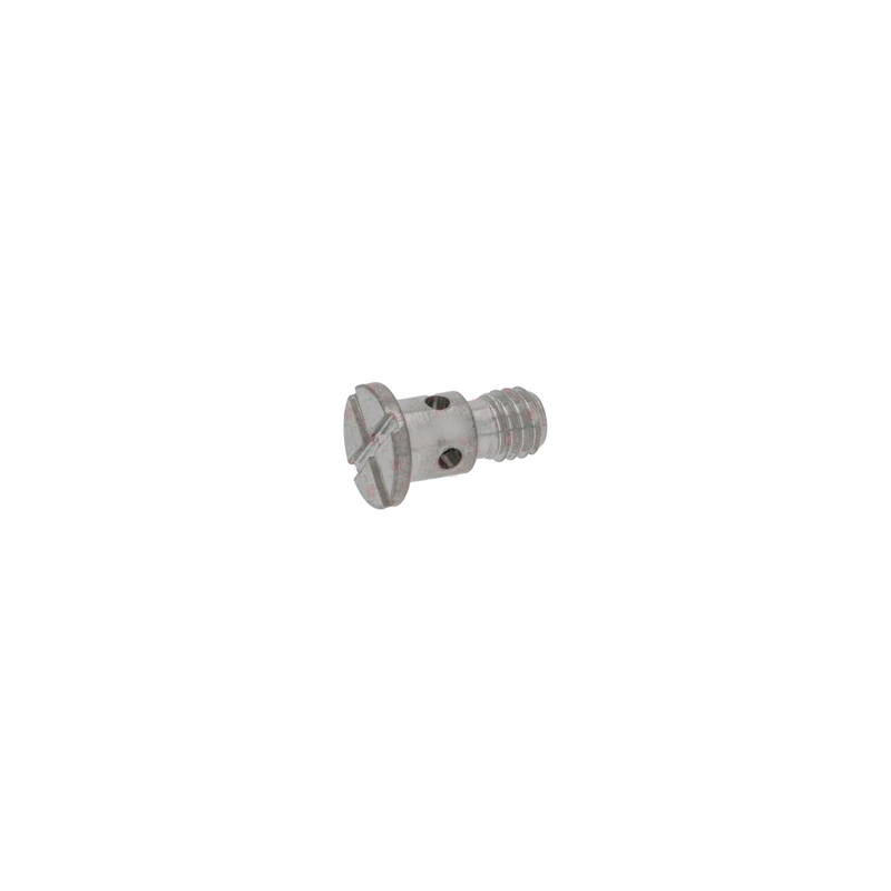 Slayer Group Head Screen Screw