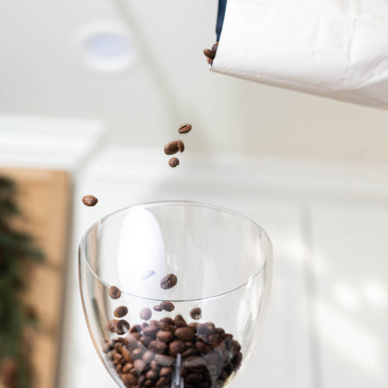 ascaso imini coffee grinder beans