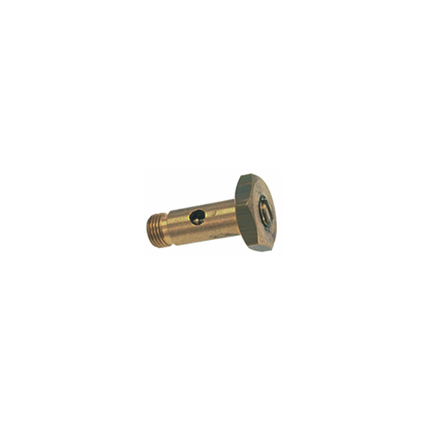 Brasilia Steam/water Wand Fixing Bolt