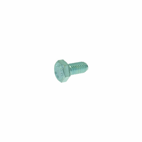 M6 x 12 mm Hex Screw