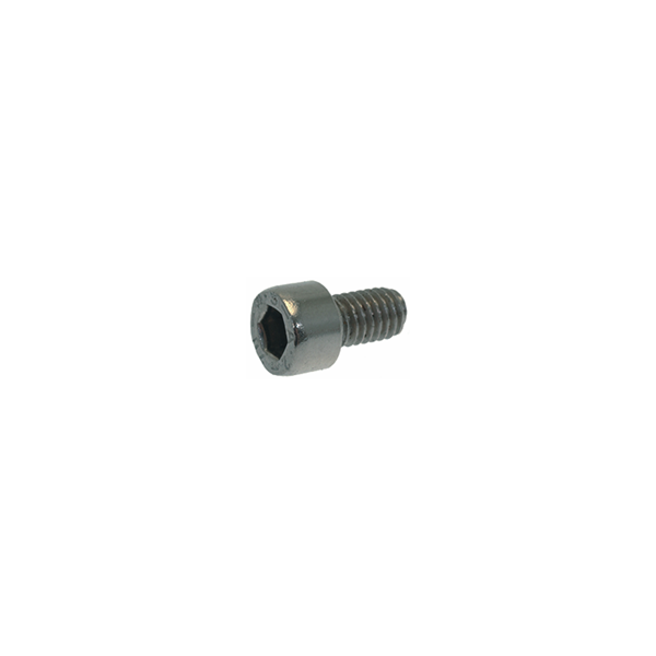 M6 x 10 mm Allen Screw