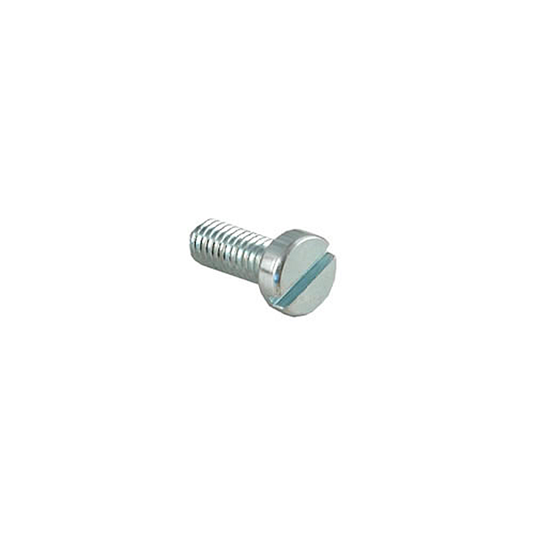 M4 x 10mm Screw