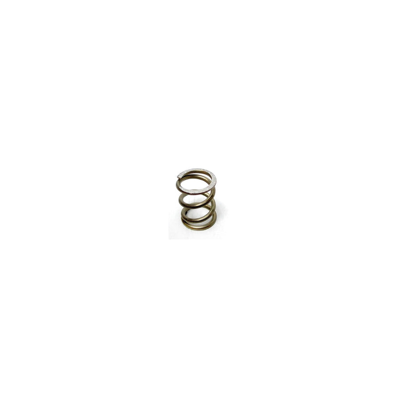 Ascaso Steam/water Wand Spring