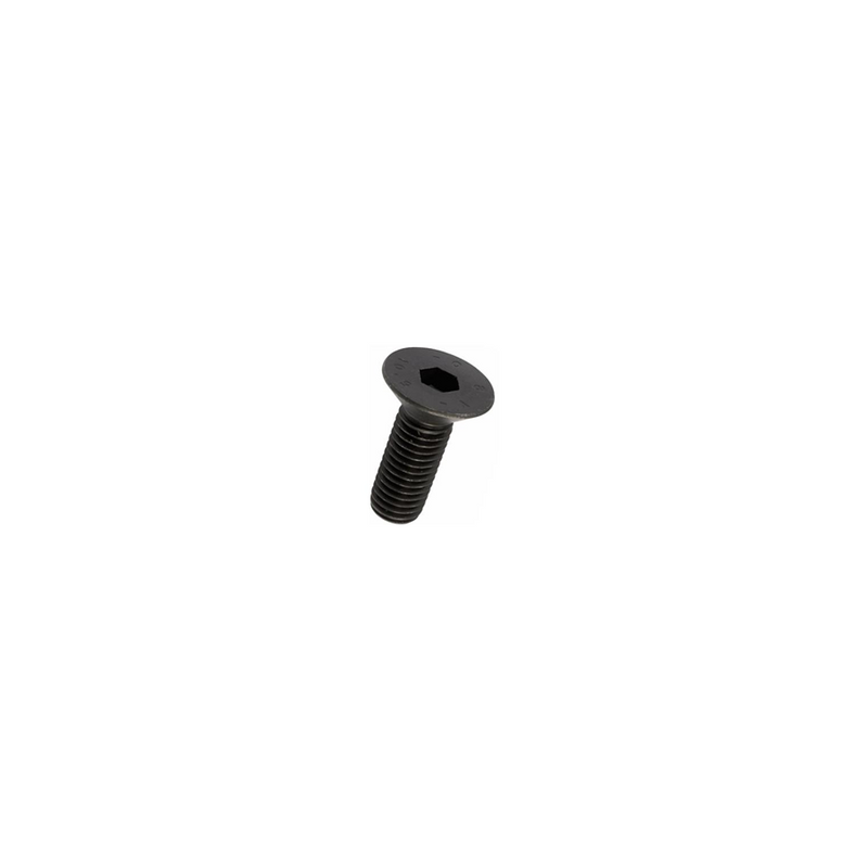 M6 x 8 Steel Socket Screw (Special Order Item)