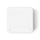 2021 acaia pearl scale white