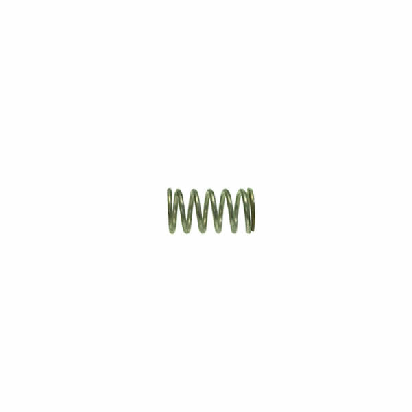 Rancilio Expansion Valve Spring