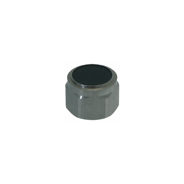 Rancilio Epoca/Classe Steam/water Valve Piston with Gasket