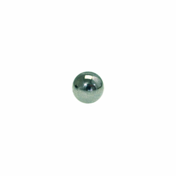 Stainless Steel Ball (Special Order Item)