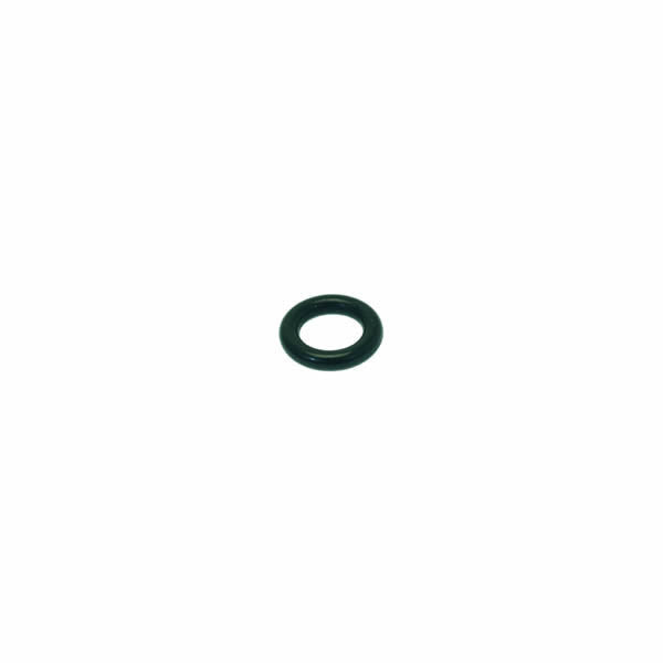 Rancilio iSteam Tip O-ring (Special Order Item)
