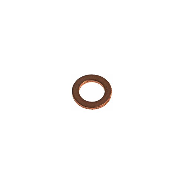 Rancilio Group Head Screw Copper Washer