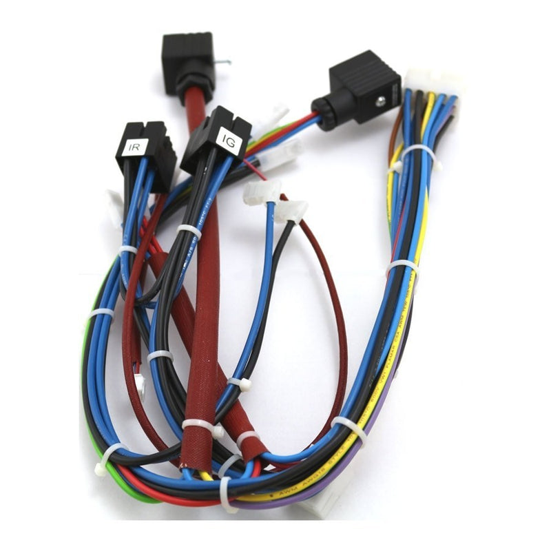 Rancilio Epoca E One Group Wiring Harness (Special Order Item)