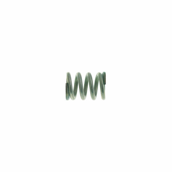 La San Marco Water Inlet Valve Spring