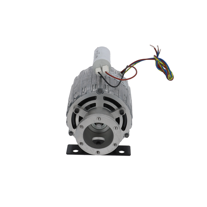 Standard Bolt Flange Rotary Vane Pump Motor 220V (Special Order Item)