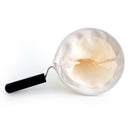 CD5 Cloth Filter w/ Handle (For Yama Sock Pot Brewer)